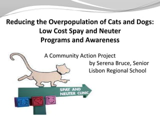 Reducing the Overpopulation of Cats and Dogs:
          Low Cost Spay and Neuter
          Programs and Awareness

           A Community Action Project
                           by Serena Bruce, Senior
                          Lisbon Regional School
 