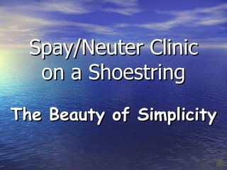 Spay/Neuter Clinic on a Shoestring The Beauty of Simplicity 
