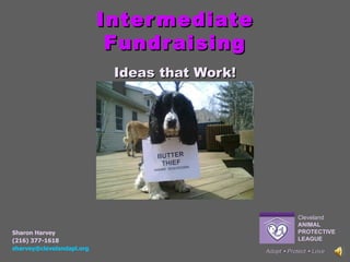 Intermediate Fundraising Ideas that Work! Adopt    Protect     Love Sharon Harvey (216) 377-1618 [email_address]   Cleveland ANIMAL PROTECTIVE LEAGUE 