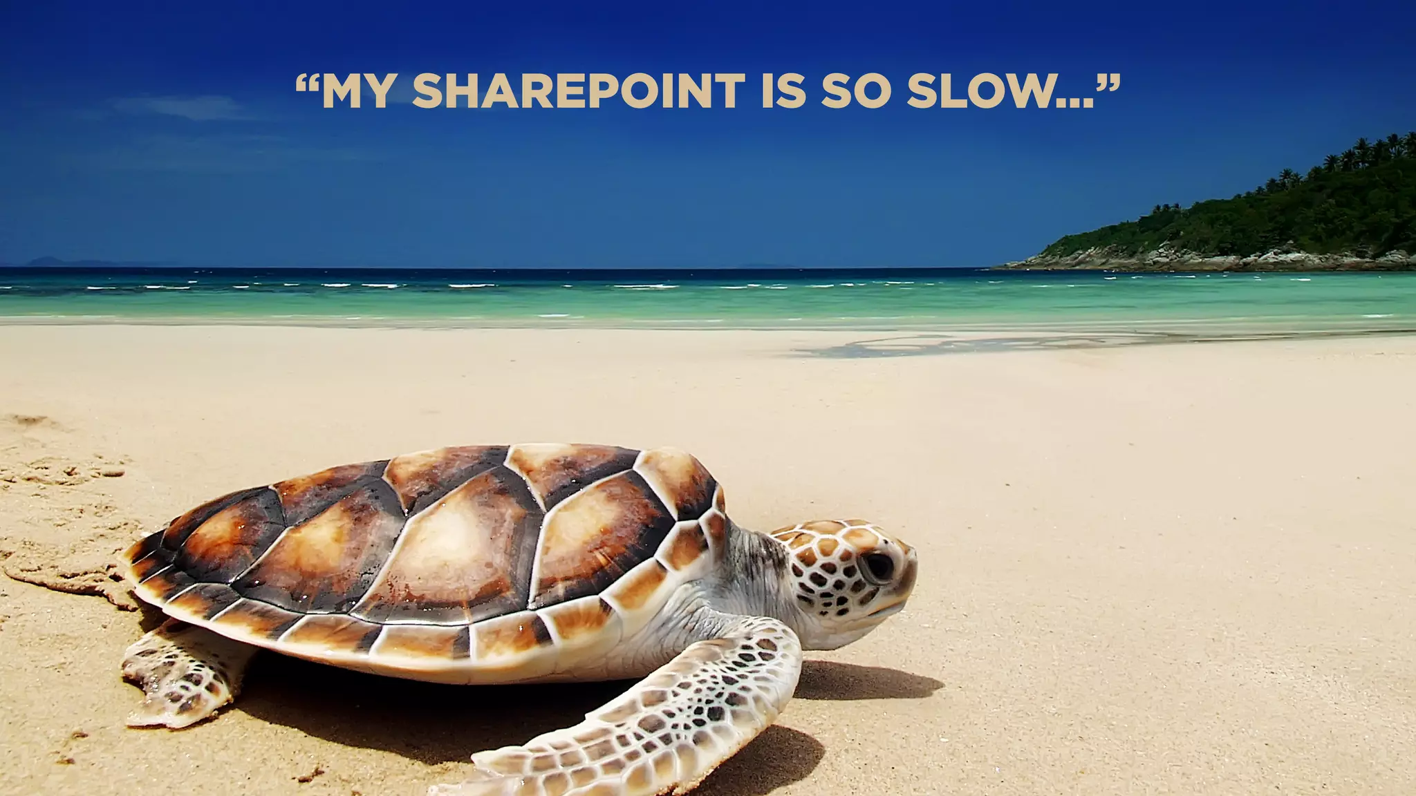 “MY SHAREPOINT IS SO SLOW…”
 