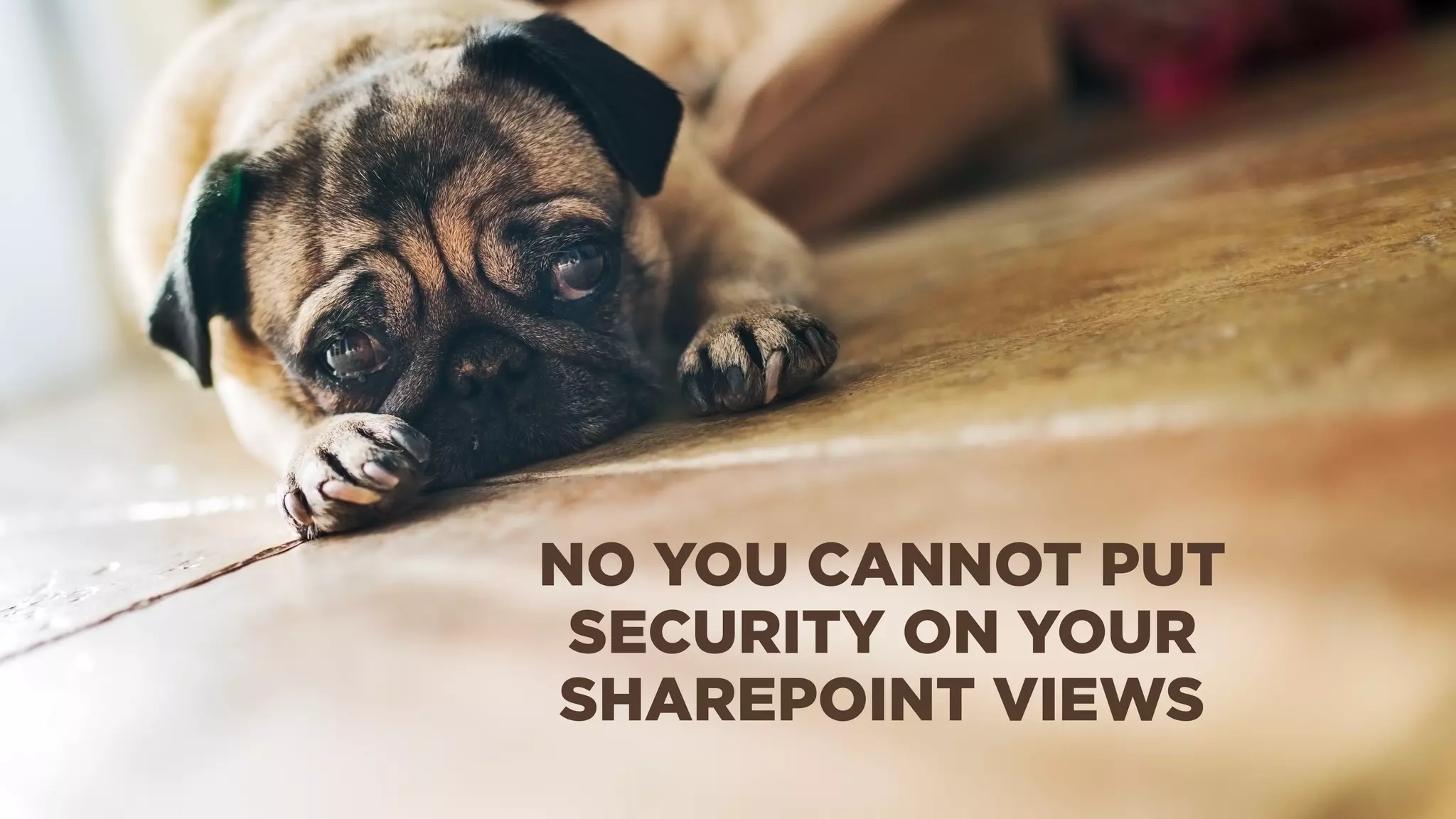 NO YOU CANNOT PUT
SECURITY ON YOUR
SHAREPOINT VIEWS
 