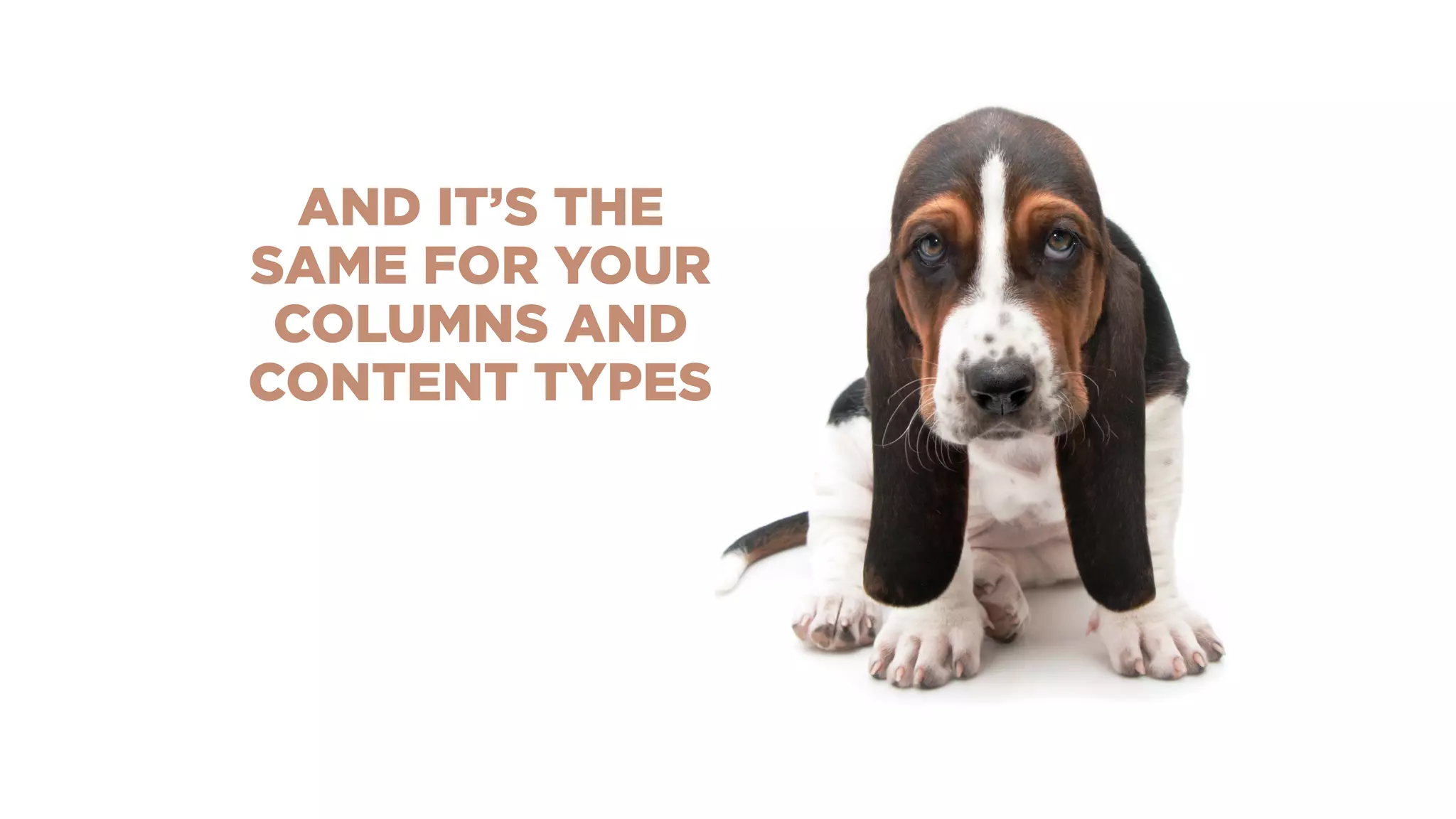 AND IT’S THE
SAME FOR YOUR
COLUMNS AND
CONTENT TYPES
 