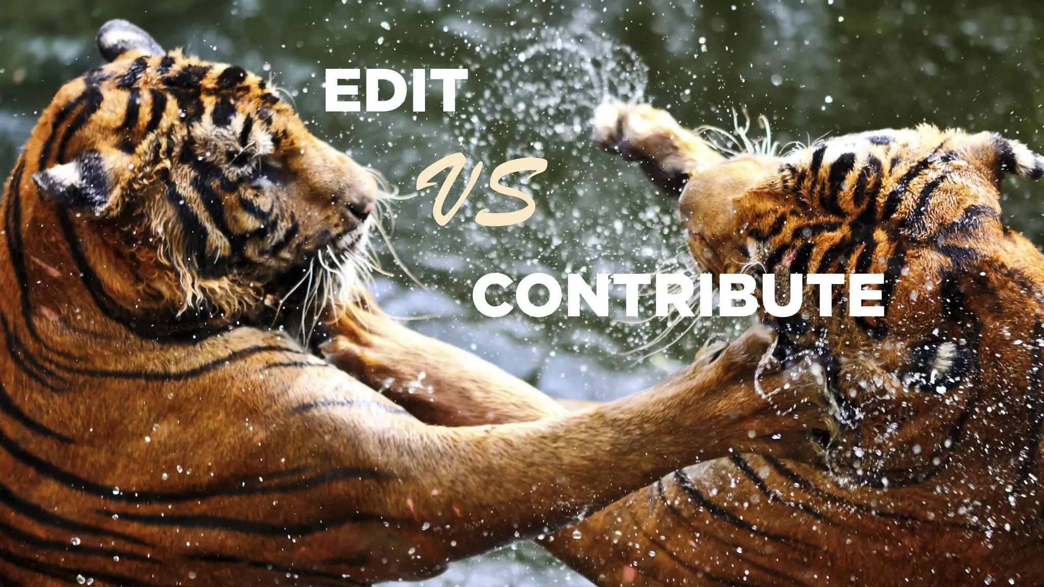 EDIT
CONTRIBUTE
VS
 
