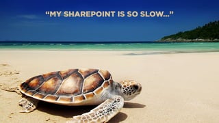 “MY SHAREPOINT IS SO SLOW…”
 