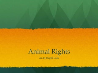 Animal Rights
An In-Depth Look
 