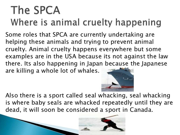 Our lady of grace school website picture