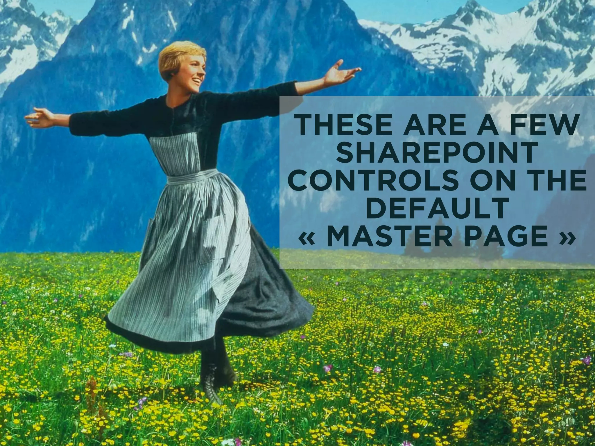 THESE ARE A FEW 
SHAREPOINT 
CONTROLS ON THE 
DEFAULT 
« MASTER PAGE » 
 