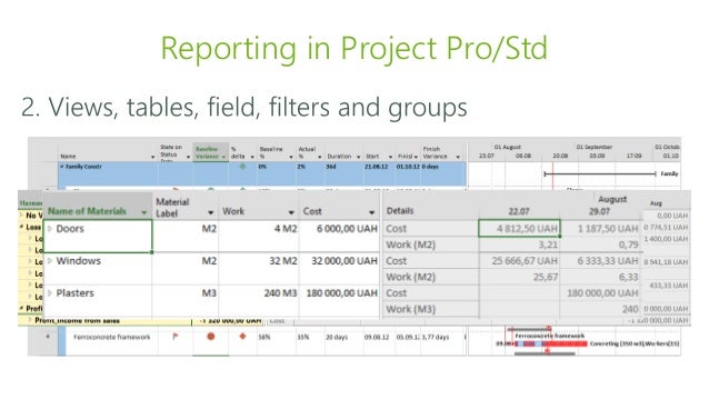 project pro