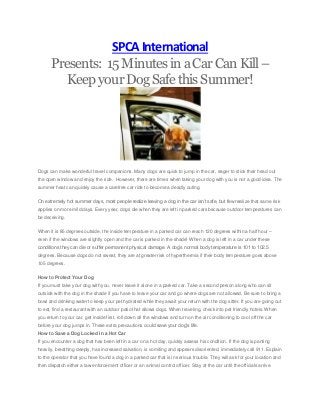 SPCAInternational
Presents: 15MinutesinaCarCanKill–
KeepyourDogSafethisSummer!
Dogs can make wonderful travel companions. Many dogs are quick to jump in the car, eager to stick their head out
the open window and enjoy the ride. However, there are times when taking your dog with you is not a good idea. The
summer heat can quickly cause a carefree car ride to become a deadly outing.
On extremely hot summer days, most people realize leaving a dog in the car isn’t safe, but few realize that same risk
applies on more mild days. Every year, dogs die when they are left in parked cars because outdoor temperatures can
be deceiving.
When it is 85 degrees outside, the inside temperature in a parked car can reach 120 degrees within a half hour –
even if the windows are slightly open and the car is parked in the shade! When a dog is left in a car under these
conditions they can die or suffer permanent physical damage. A dog’s normal body temperature is 101 to 102.5
degrees. Because dogs do not sweat, they are at greater risk of hyperthermia if their body temperature goes above
105 degrees.
How to Protect Your Dog
If you must take your dog with you, never leave it alone in a parked car. Take a second person along who can sit
outside with the dog in the shade if you have to leave your car and go where dogs are not allowed. Be sure to bring a
bowl and drinking water to keep your pet hydrated while they await your return with the dog sitter. If you are going out
to eat, find a restaurant with an outdoor patio that allows dogs. When traveling, check into pet friendly hotels. When
you return to your car, get inside first, roll down all the windows and turn on the air conditioning to cool off the car
before your dog jumps in. These extra precautions could save your dog’s life.
How to Save a Dog Locked in a Hot Car
If you encounter a dog that has been left in a car on a hot day, quickly assess his condition. If the dog is panting
heavily, breathing deeply, has increased salvation, is vomiting and appears disoriented, immediately call 911. Explain
to the operator that you have found a dog in a parked car that is in serious trouble. They will ask for your location and
then dispatch either a law enforcement officer or an animal control officer. Stay at the car until the officials arrive.
 