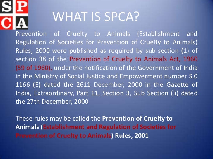 Formation of SPCA in Khammam