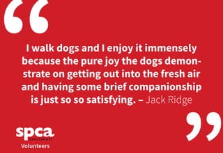 “I walk dogs and I enjoy it immensely
because the pure joy the dogs demon-
strate on getting out into the fresh air
and having some brief companionship
is just so so satisfying. – Jack Ridge
Volunteers
 