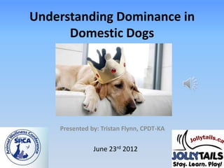Understanding Dominance in
      Domestic Dogs




    Presented by: Tristan Flynn, CPDT-KA


               June 23rd 2012
 