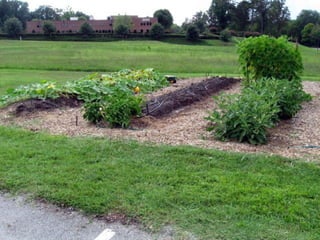 SPC garden presentation NCCGP 2013