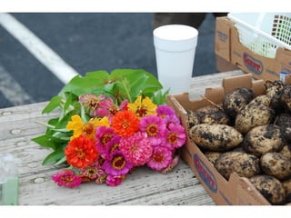 SPC garden presentation NCCGP 2013