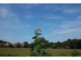 SPC garden presentation NCCGP 2013