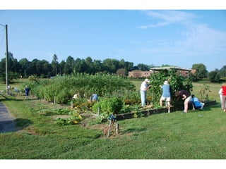 SPC garden presentation NCCGP 2013