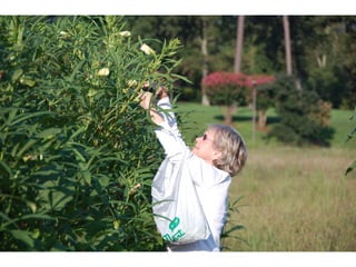 SPC garden presentation NCCGP 2013