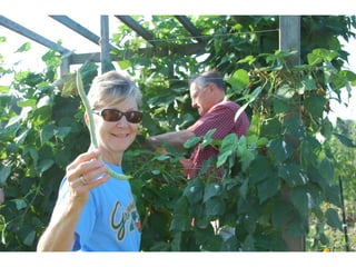 SPC garden presentation NCCGP 2013