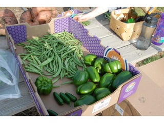 SPC garden presentation NCCGP 2013