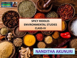 SPICY RIDDLES
ENVIRONMENTAL STUDIES
CLASS-IV
 