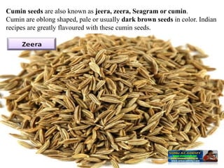 Cumin seeds are also known as jeera, zeera, Seagram or cumin.
Cumin are oblong shaped, pale or usually dark brown seeds in color. Indian
recipes are greatly flavoured with these cumin seeds.
 