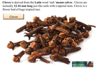 Cloves is derived from the Latin word ‘nail ‘means calves . Cloves are
normally 12-16 mm long just like nails with a tapered stem. Cloves is a
flower bud of huge tropical tree.
 