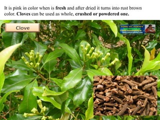 It is pink in color when is fresh and after dried it turns into rust brown
color. Cloves can be used as whole, crushed or powdered one.
 