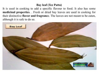 Bay leaf (Tez Patta)
It is used in cooking to add a specific flavour to food. It also has some
medicinal properties. . Fresh or dried bay leaves are used in cooking for
their distinctive flavor and fragrance. The leaves are not meant to be eaten,
although it is safe to do so.
 
