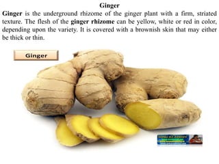 Ginger
Ginger is the underground rhizome of the ginger plant with a firm, striated
texture. The flesh of the ginger rhizome can be yellow, white or red in color,
depending upon the variety. It is covered with a brownish skin that may either
be thick or thin.
 