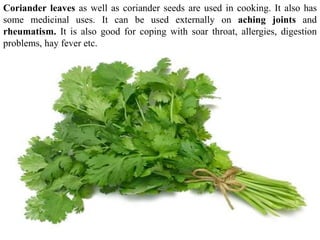 Coriander leaves as well as coriander seeds are used in cooking. It also has
some medicinal uses. It can be used externally on aching joints and
rheumatism. It is also good for coping with soar throat, allergies, digestion
problems, hay fever etc.
 
