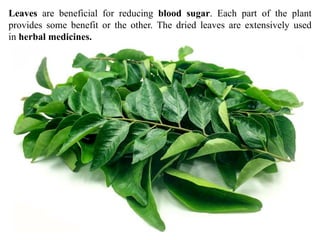 Leaves are beneficial for reducing blood sugar. Each part of the plant
provides some benefit or the other. The dried leaves are extensively used
in herbal medicines.
 