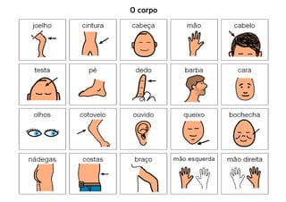 O corpo
 