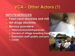 The smallholder pigs in-depth value chain assessment in Uganda: How was it conducted? 
