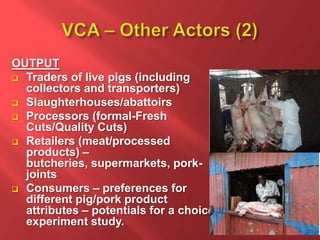 The smallholder pigs in-depth value chain assessment in Uganda: How was it conducted? 