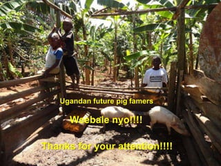 The smallholder pigs in-depth value chain assessment in Uganda: How was it conducted? 