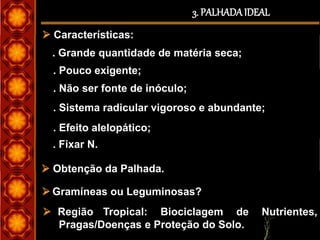 3. PALHADAIDEAL
 Características:
. Grande quantidade de matéria seca;
. Pouco exigente;
. Não ser fonte de inóculo;
. Sistema radicular vigoroso e abundante;
. Efeito alelopático;
. Fixar N.
 Obtenção da Palhada.
 Gramíneas ou Leguminosas?
 Região Tropical: Biociclagem de Nutrientes,
Pragas/Doenças e Proteção do Solo.
 