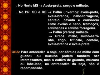 . No Norte MS  Aveia-preta, sorgo e milheto.
. No PR, SC e RS  Palha (inverno): aveia-preta,
aveia-branca, nabo-forrageiro,
centeio, cevada e consórcio
entre aveias e nabo, tremoços,
ervilhacas e ervilha forrageira.
 Palha (verão): milheto.
 Grãos: milho, milho-safri-
nha, trigo, triticale, centeio,
aveia-branca e aveia-preta.
OBS: Para anteceder a soja, consórcios de milho com
guandu ou mucuna podem também ser
interessantes, mas o cultivo de guandu, mucuna
ou labe-labe, na entressafra da soja, não é
recomendado.
 