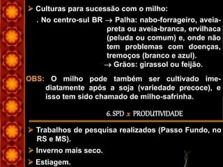  Trabalhos de pesquisa realizados (Passo Fundo, no
RS e MS).
 Culturas para sucessão com o milho:
. No centro-sul BR  Palha: nabo-forrageiro, aveia-
preta ou aveia-branca, ervilhaca
(peluda ou comum) e, onde não
tem problemas com doenças,
tremoços (branco e azul).
 Grãos: girassol ou feijão.
OBS: O milho pode também ser cultivado ime-
diatamente após a soja (variedade precoce), e
isso tem sido chamado de milho-safrinha.
6. SPD x PRODUTIVIDADE
 Inverno mais seco.
 Estiagem.
 