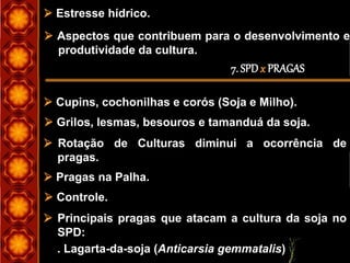 7. SPDx PRAGAS
 Estresse hídrico.
 Aspectos que contribuem para o desenvolvimento e
produtividade da cultura.
 Cupins, cochonilhas e corós (Soja e Milho).
 Grilos, lesmas, besouros e tamanduá da soja.
 Rotação de Culturas diminui a ocorrência de
pragas.
 Pragas na Palha.
 Controle.
 Principais pragas que atacam a cultura da soja no
SPD:
. Lagarta-da-soja (Anticarsia gemmatalis)
 