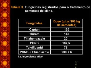 230 + 6PCNB + Etriadiazole
75Tolylfluanid
187,5PCNB
20Thiabendazole
140Thiram
120Captan
Dose (g i.a./100 kg
de sementes)
Fungicidas
i.a. ingrediente ativo
Tabela 3. Fungicidas registrados para o tratamento de
sementes de Milho.
 