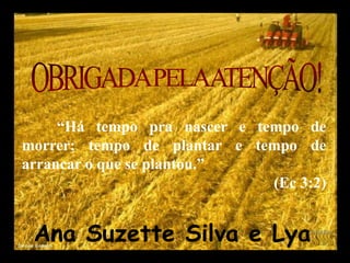“Há tempo pra nascer e tempo de
morrer; tempo de plantar e tempo de
arrancar o que se plantou.”
(Ec 3:2)
Ana Suzette Silva e Lya
 