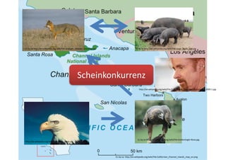 Cc-by-sa-	http://en.wikipedia.org/wiki/File:Californian_Channel_Islands_map_en.png
Cc	by	sa	http://en.wikipedia.org/wiki/File:GoldenEagle-Nova.jpg
Cc	by	sa	http://en.wikipedia.org/wiki/File:Large_Black_pigs.jpgCc	by	sa	http://en.wikipedia.org/wiki/File:Urocyon_littoralis_standing.jpg
http://de.wikipedia.org/wiki/Datei:Bald_eagle.jpg
Scheinkonkurrenz
http://en.wikipedia.org/wiki/File:T._C._Boyle,_Leipziger_Buchmesse_2009-1.jpg
 