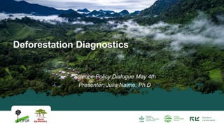 Science-Policy Dialogue May 4th
Presenter: Julia Naime, Ph.D
Deforestation Diagnostics
 