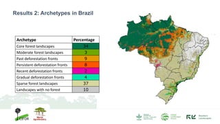 Deforestation diagnostics