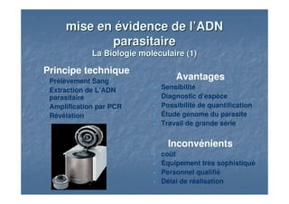 mise en évidence de l’ADNmise en évidence de l’ADN
parasitaireparasitaire
La Biologie moléculaire (1)La Biologie moléculaire (1)
Principe technique
Prélèvement Sang
Extraction de L’ADN
parasitaire
Amplification par PCR
Révélation
Avantages
Sensibilité
Diagnostic d’espèce
Possibilité de quantification
Étude génome du parasite
Travail de grande série
Inconvénients
coût
Équipement très sophistiqué
Personnel qualifié
Délai de réalisation
 