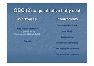 QBC (2) =QBC (2) = quantitativequantitative buffybuffy coatcoat
AVANTAGESAVANTAGES
Très Bonne sensibilité
(1 parasite par µl)
Volume examiné : 60 µl vs 0.,2 µl GE
Rapidité
InconvénientsInconvénients
Toxicité de l’acridine
coût élevé
Équipements
Personnel expérimenté
Pas approprié au terrain
Pas quantitatif, espèces
 
