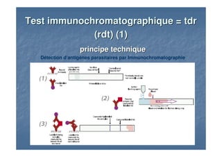principe techniqueprincipe technique
Détection d’antigènes parasitaires par Immunochromatographie
Test immunochromatographique =Test immunochromatographique = tdrtdr
((rdtrdt) (1)) (1)
 