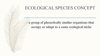 ECOLOGICAL SPECIES CONCEPT
– a group of phenetically similar organisms that
occupy or adapt to a same ecological niche
 