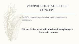 MORPHOLOGICAL SPECIES
CONCEPT
– The MSC classifies organisms into species based on their
morphology.
A species is a set of individuals with morphological
features in common
 