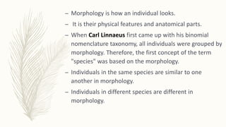 – Morphology is how an individual looks.
– It is their physical features and anatomical parts.
– When Carl Linnaeus first came up with his binomial
nomenclature taxonomy, all individuals were grouped by
morphology. Therefore, the first concept of the term
"species" was based on the morphology.
– Individuals in the same species are similar to one
another in morphology.
– Individuals in different species are different in
morphology.
 